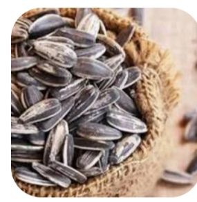 فوائد اللب السوري واللب السوبر لجسمك هتخليك مش قادر تستغنى عنهم!