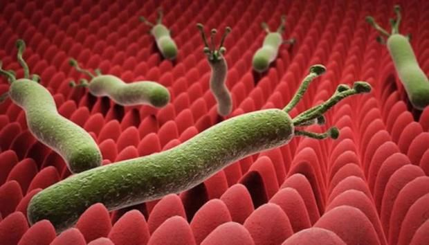 عادة خاطئة تصيبك بجرثومة المعدة في رمضان.. تجنبها