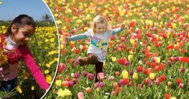 4 أيام وينتهى الشتاء رسميا ويبدأ فصل الربيع