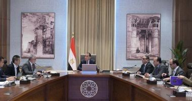 رئيس الوزراء يستعرض خطة توطين صناعة زجاج الألواح الشمسية باقتصادية القناة