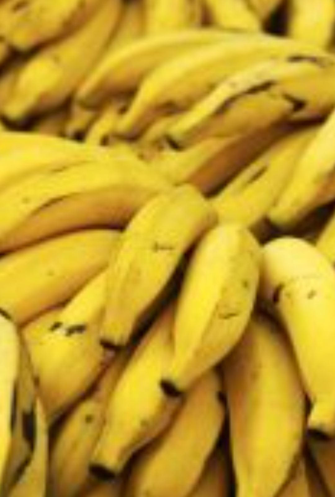 طريقة عبقرية لحفظ وتخزين الموز لأطول فترة بدون ما يتغير لونه كأنك لسه مشتريه!!