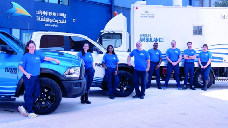 الامارات | «ليلة الإنقاذ» تنشر التوعية بمساعدة الأحياء البحرية