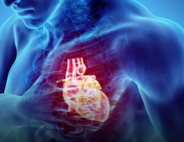 طبيب عربي يفجر مفاجأة ويكشف سببًا خطيرًا لتوقف القلب