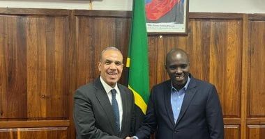 بدر عبد العاطى يلتقى نائب رئيس الوزراء ووزير الطاقة التنزانى