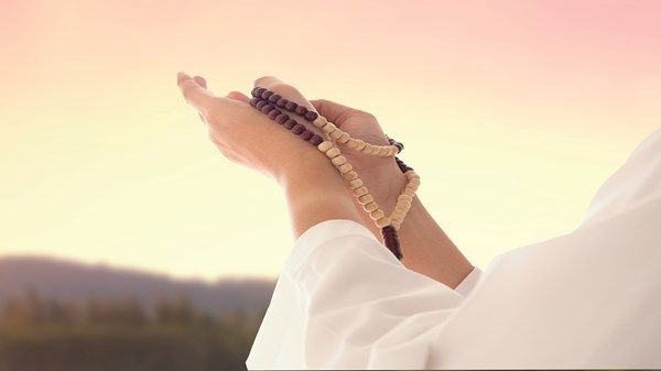 الشيخ زايد.. وفاء واحتفاء بذكرى رائد العمل الإنساني