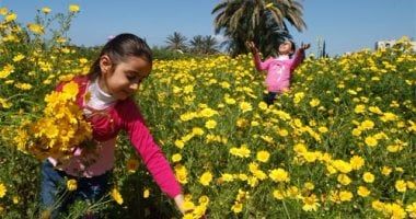 مفاجأة .. الأرصاد تكشف ملامح الطقس خلال فصل الربيع 2025