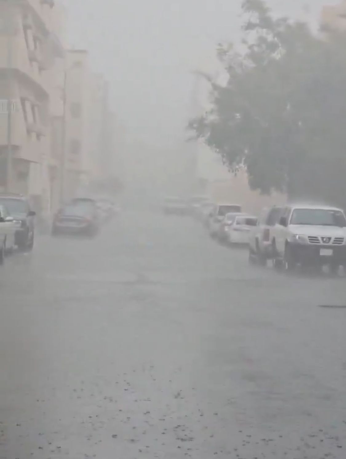 أمطار الخير والبركة تغمر طرقات الطائف.. فيديو