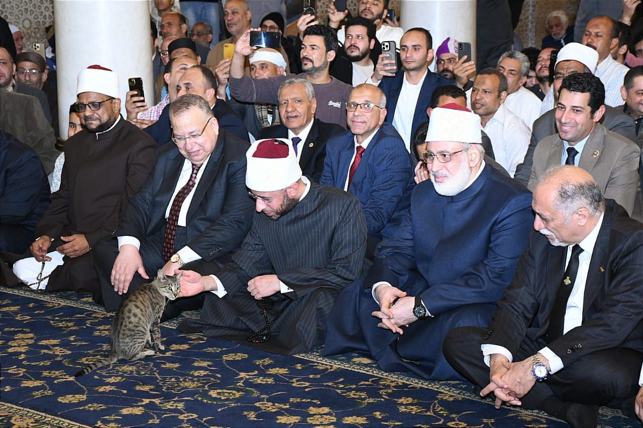 شاهد بالصور.. وزير الأوقاف "يلاطف" قطة في احتفال الوزارة بذكرى فتح مكة