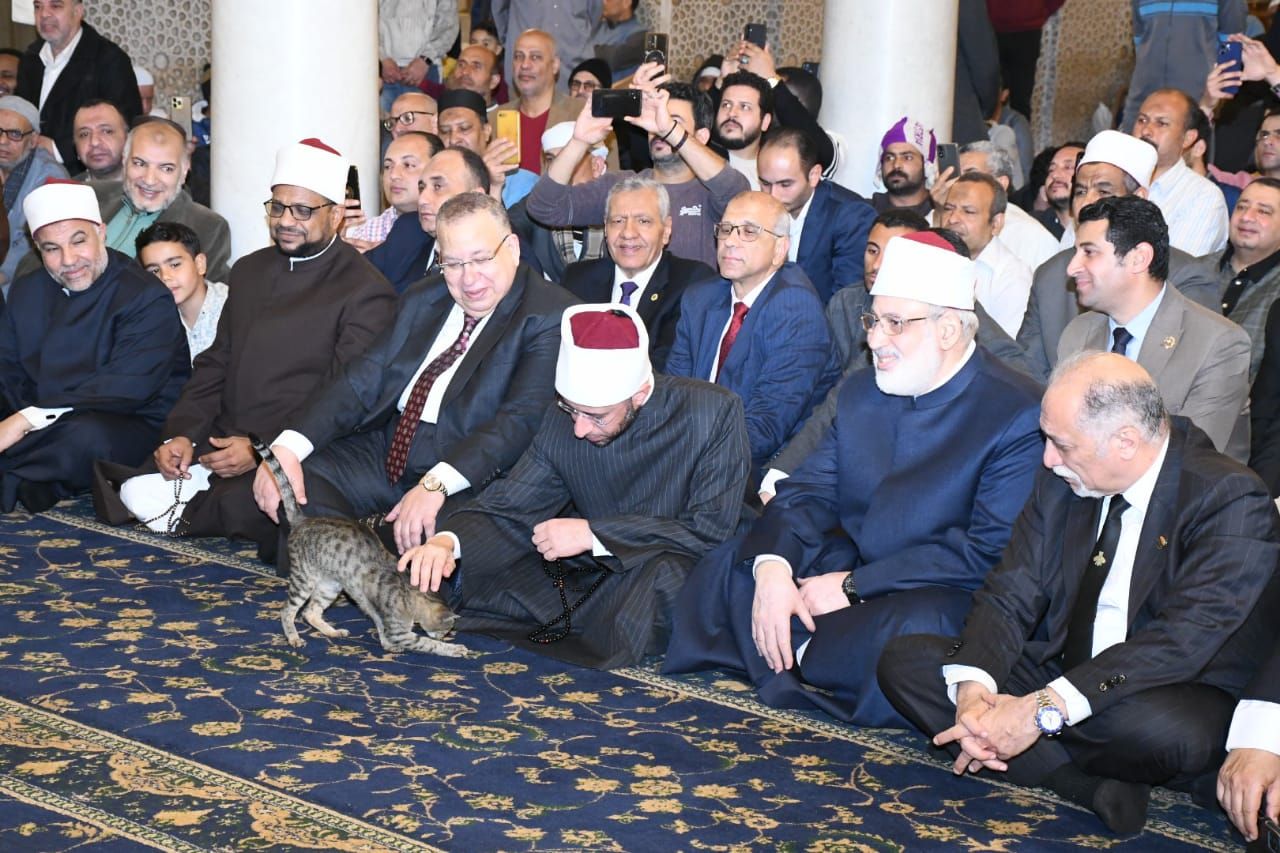 شاهد بالصور.. وزير الأوقاف "يلاطف" قطة في احتفال الوزارة بذكرى فتح مكة