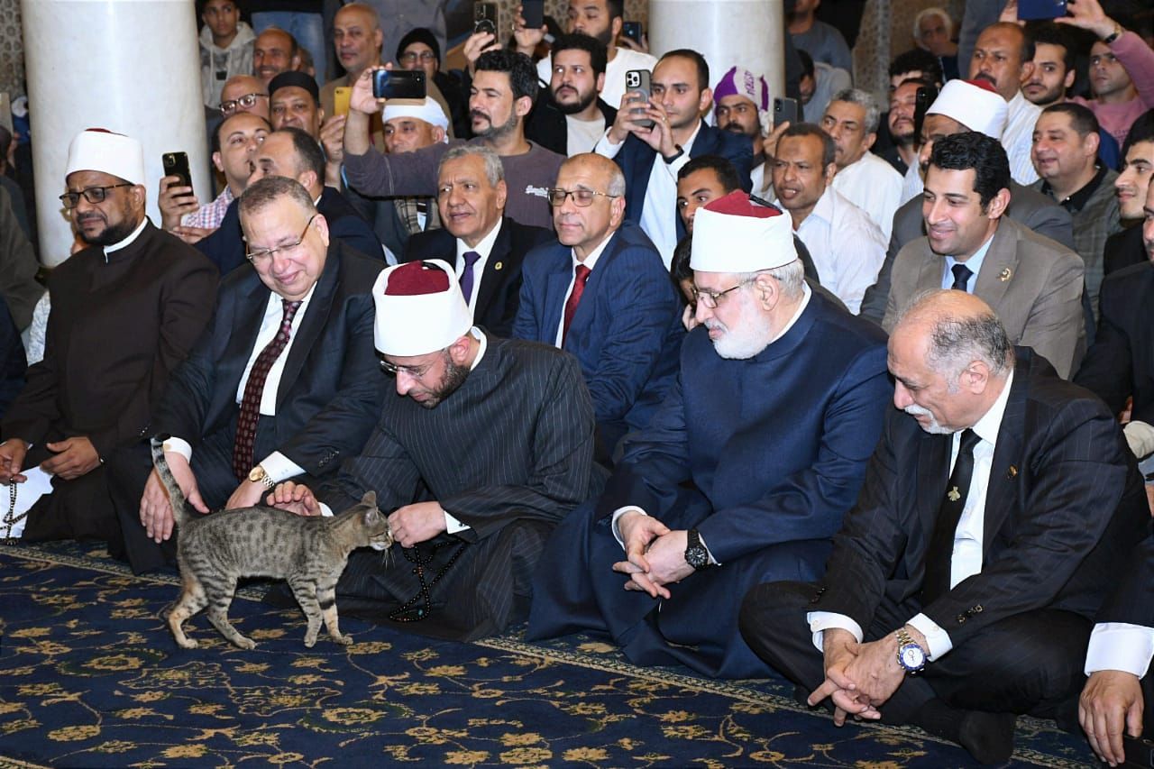 شاهد بالصور.. وزير الأوقاف "يلاطف" قطة في احتفال الوزارة بذكرى فتح مكة