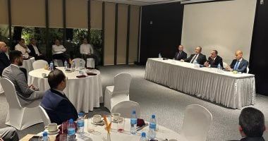 وزير الخارجية يلتقي أعضاء الجالية المصرية في تنزانيا