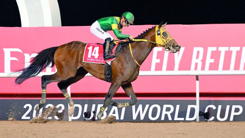 الامارات | خيول 13 دولة تستهدف ألقاب أمسية كأس دبي العالمي