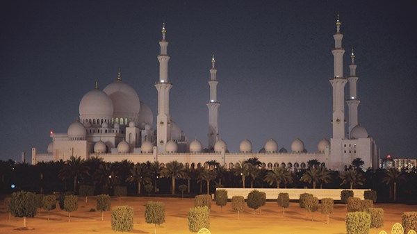 الإمارات تشارك غداً في «ساعة الأرض»