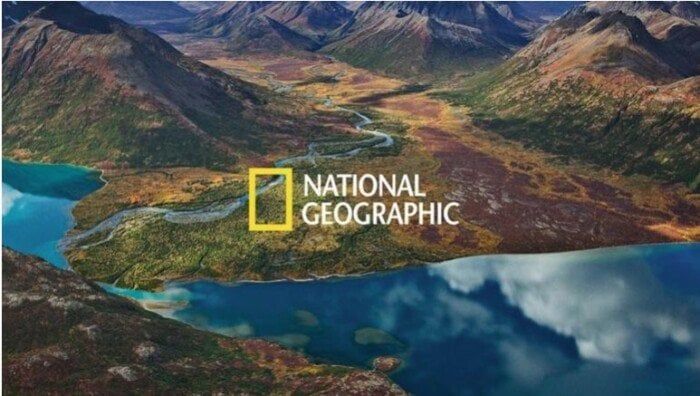 تردد قناة ناشيونال جيوغرافيك نايل سات 2025: لا تفوت حلقة الوشق المصري المدهشة!