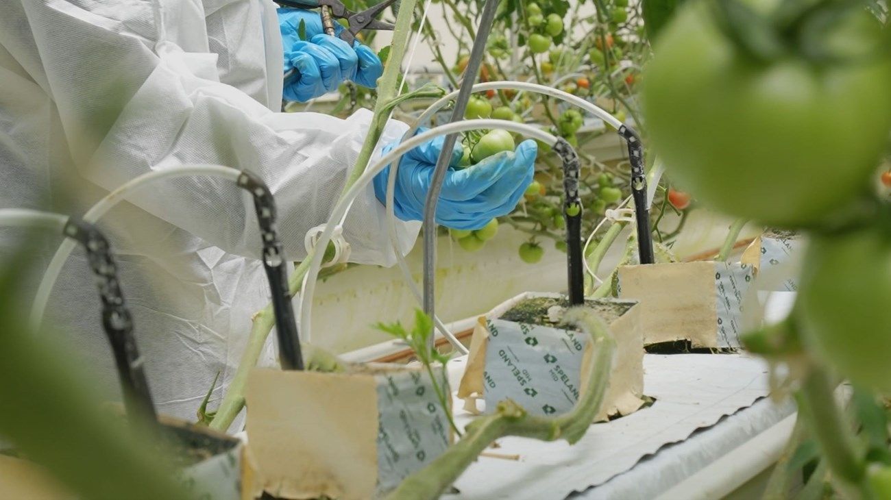 اليوم العالمي للمياه.. الإمارات في صدارة الجهود العالمية لتعزيز الأمن المائي