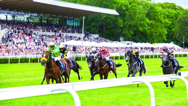 الامارات | «كأس رئيس الدولة للخيول» تبدأ من تونس