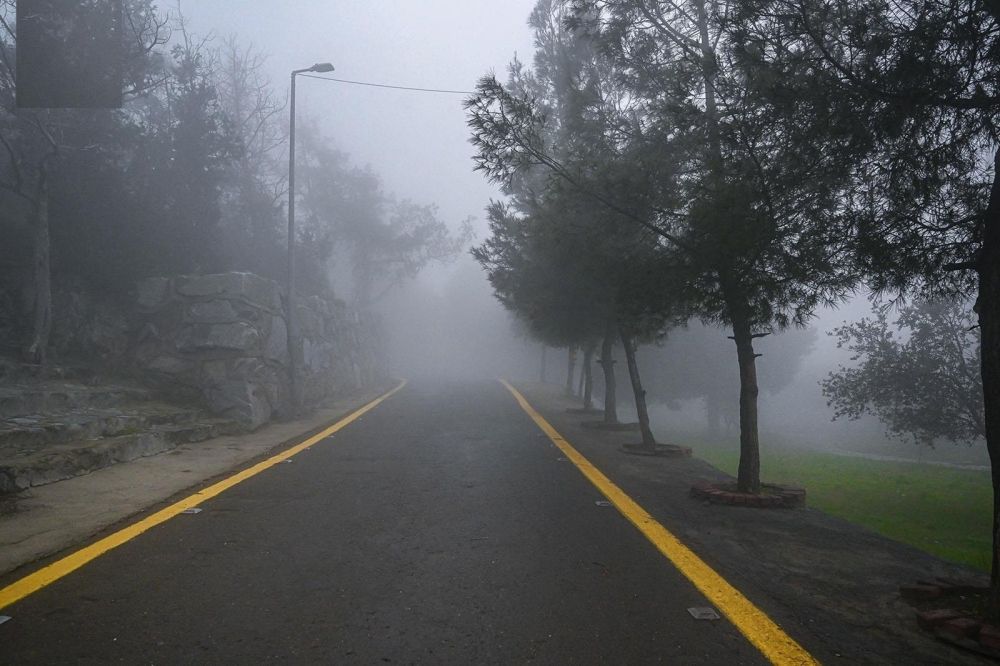 طقس المملكة.. أمطار وانعدام الرؤية بسبب الضباب الكثيف في الباحة