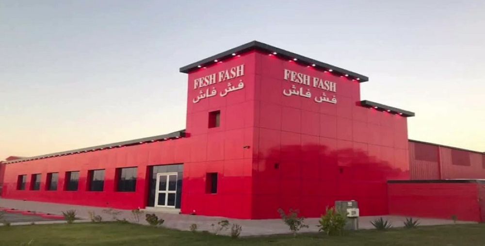 مجلس إدارة «فش فاش» يوصي بعدم توزيع أرباح نقدية عن عام 2024