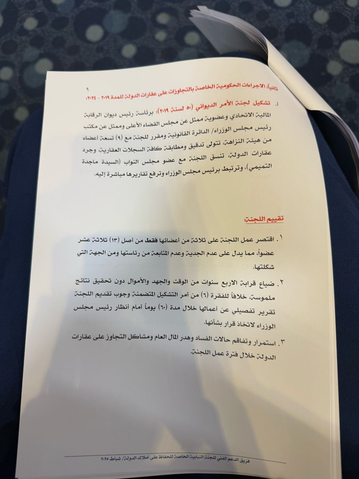 تقرير لجنة الحفاظ على املاك الدولة (وثائق)