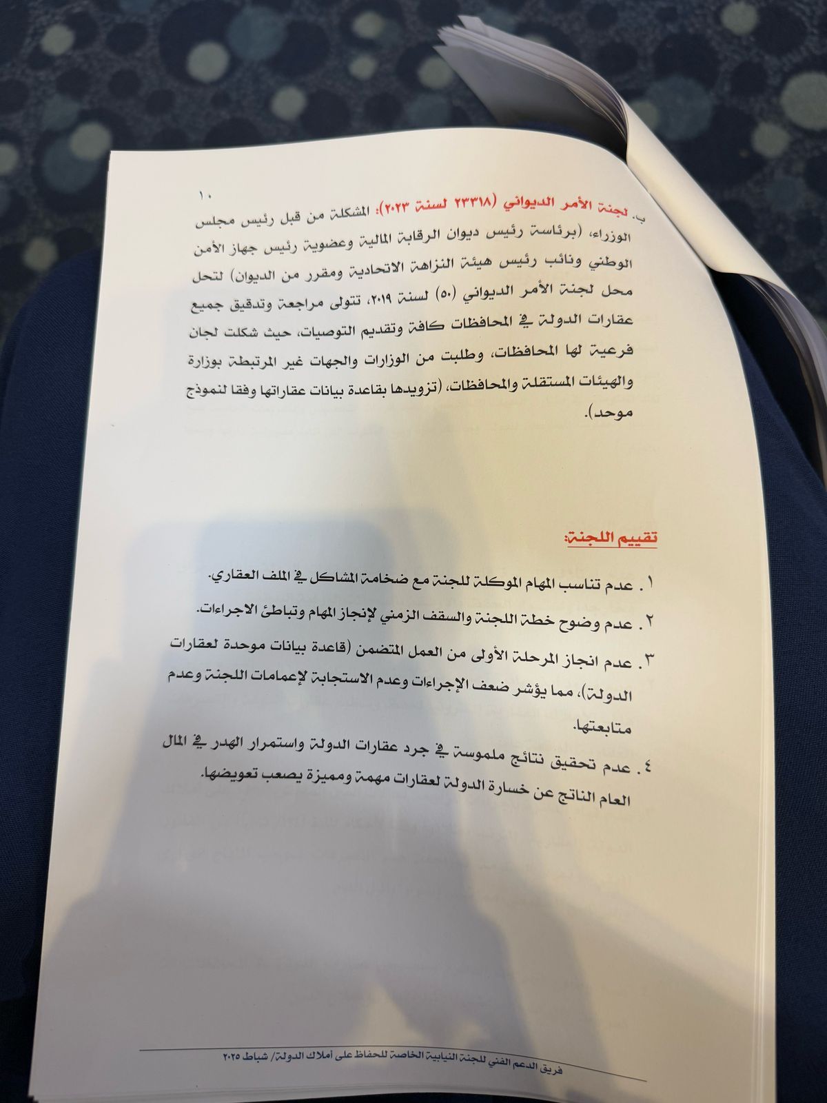 تقرير لجنة الحفاظ على املاك الدولة (وثائق)