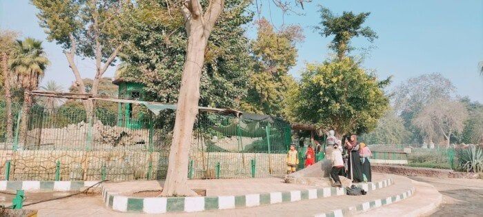 استكشفوا ساعات افتتاح حديقة الحيوان في الجيزة خلال العيد!