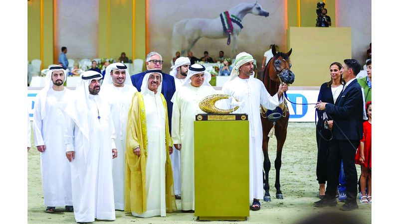 الامارات | «إي إس حرير» الأجمل في بطولة دبي للجواد العربي
