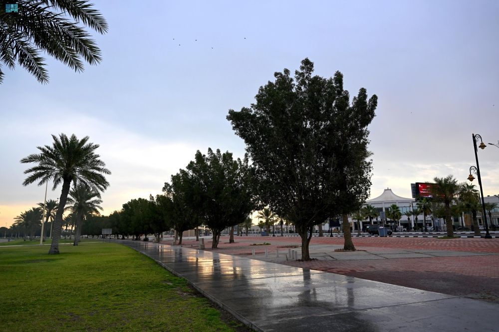 جريان السيول.. أمطار غزيرة على أجزاء من 4 مناطق اليوم الأربعاء