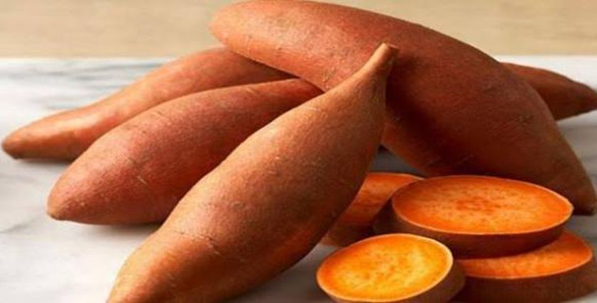 خضار غني بالكربوهيدرات والألياف.. تعرف على البديل الصحي للسكر في رمضان