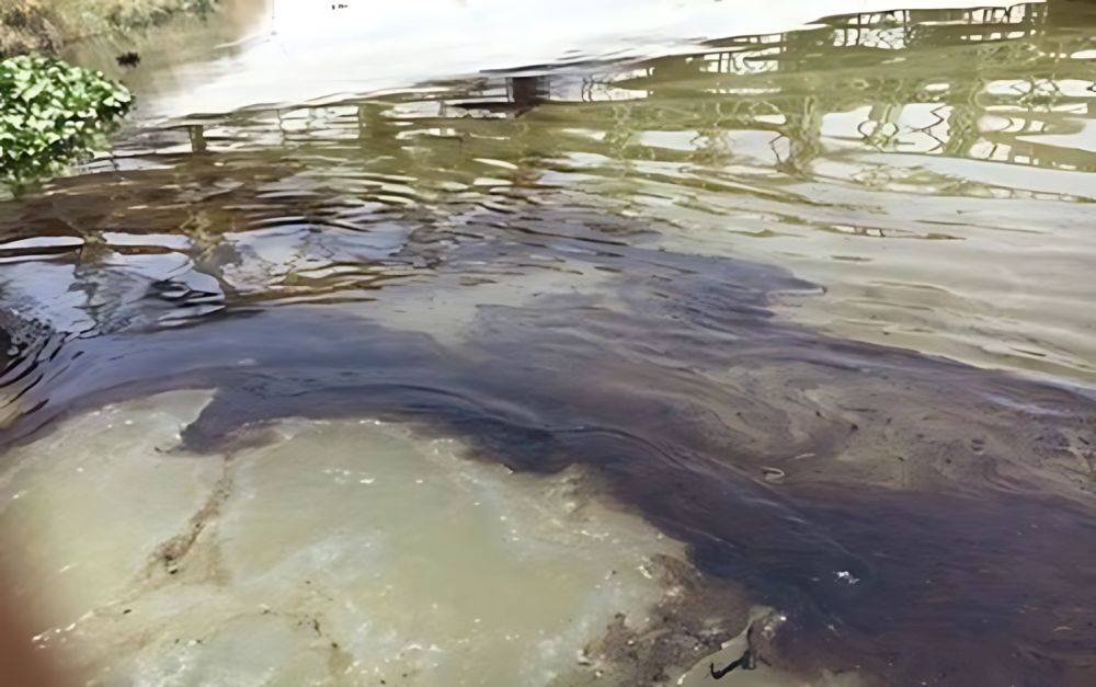 تراجع رقابة صحة البيئة 34% خلال 5 سنوات وارتفاع التسمم الغذائي