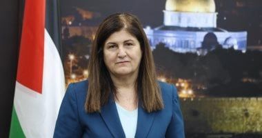 "الخارجية الفلسطينية": نوثق انتهاكات الاحتلال ونعمل لحشد دولى لكشف جرائمه