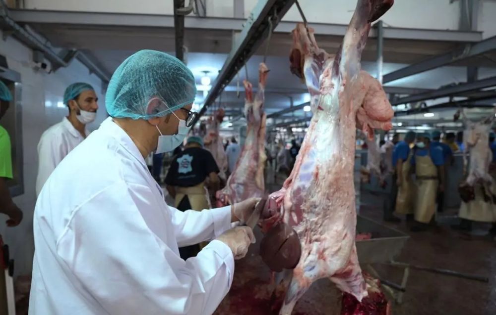 بيئة الرياض تتلف 18 ألف ذبيحة غير صالحة للاستهلاك الآدمي