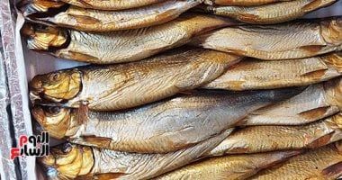 وزارة الصحة: الأسماك المملحة الفاسدة تصيب بشلل التسمم الممبارى