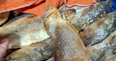 مديرية تموين القاهرة تضبط 2.8 طن فسيخ وسردين غير صالحة