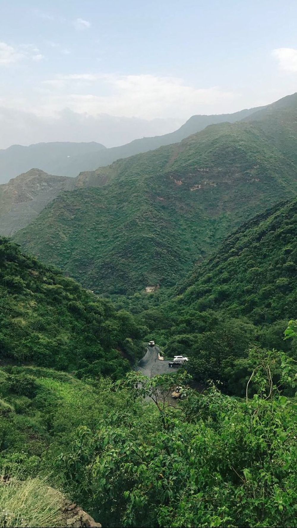 اليوم.. المملكة تحتفي بيوم مبادرة السعودية الخضراء