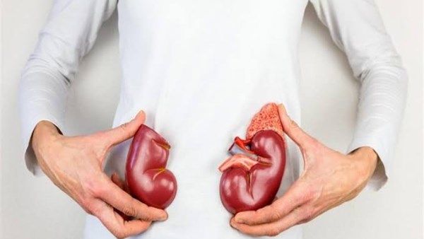 مشروبات طبيعية لتنظيف الكلى من الحصوات والسموم