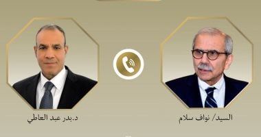 وزير الخارجية يبحث مع رئيس الحكومة اللبنانية تمكين الجيش اللبناني من تنفيذ القرار 1701