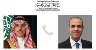 وزير الخارجية يبحث مع نظيره السعودى الأزمات الإقليمية في البحر الأحمر