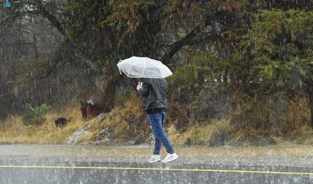 حالة الطقس.. استمرار هطول أمطار رعدية و ورياح مثيرة للأتربة