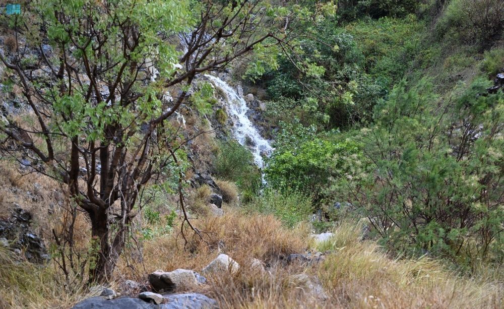 الدمام 30 مئوية.. بيان درجات الحرارة العظمى على بعض مدن المملكة