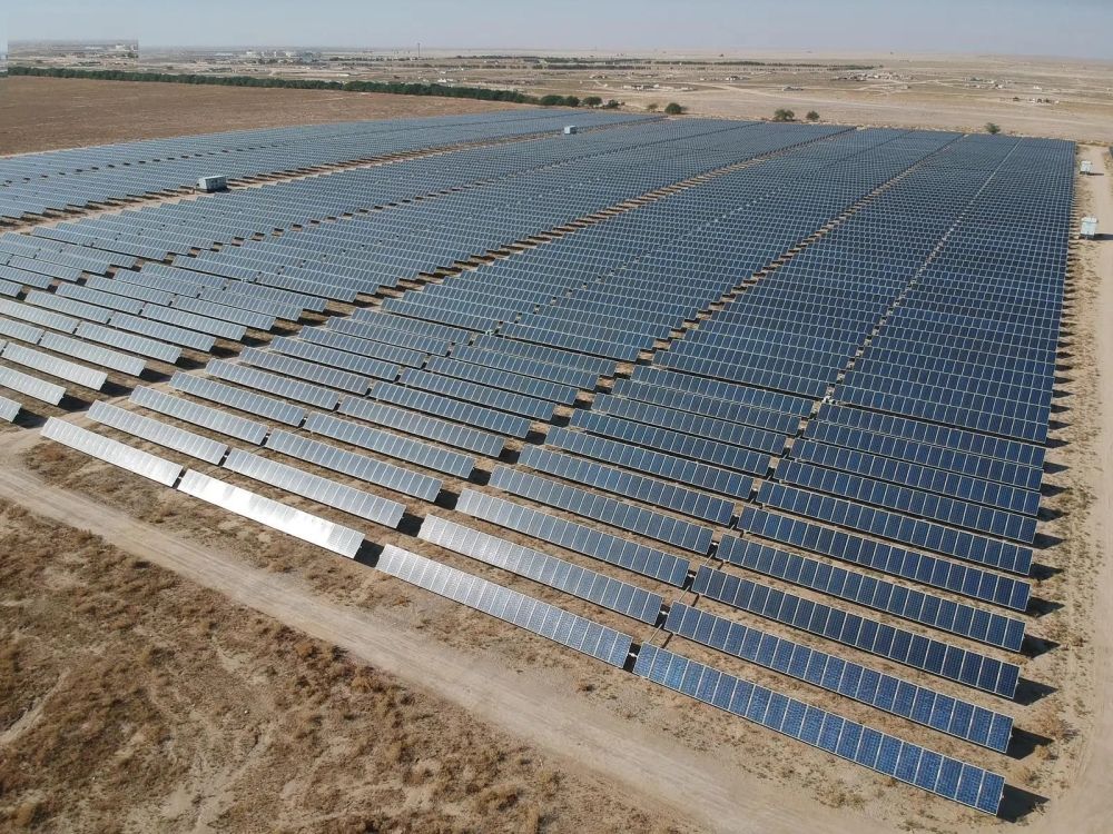 "كاكست" تواصل دورها الريادي في دعم مبادرة السعودية الخضراء