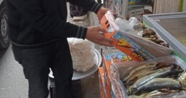 محافظة الجيزة تضبط 6 أطنان و500 كجم رنجة وفسيخ غير صالحة للاستهلاك الآدمى