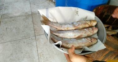 طبيبة بيطرية تحذر من تناول الأسماك النيئة.. التفاصيل