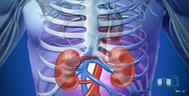 علامات غير متوقعة تكشف وجود مشكلة في الكلى