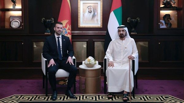 محمد بن راشد يلتقي رئيس وزراء مونتينيغرو ويبحثان تعزيز العلاقات الثنائية