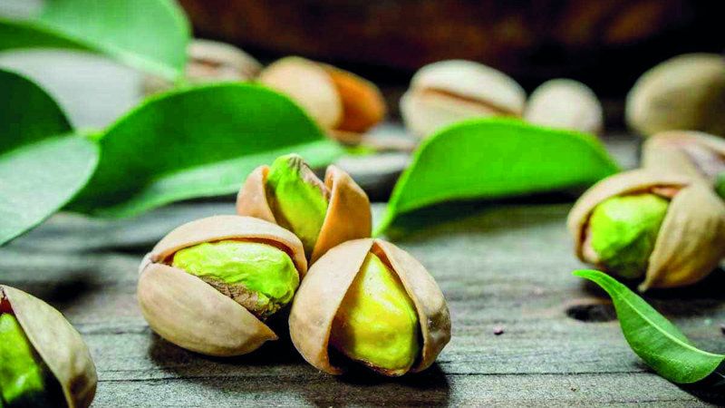 الامارات | الفستق الحلبي.. حفنة فوائد صحية