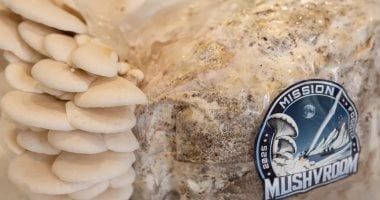 تكنولوجيا: رحلة رواد الفضاء FRAM2 فوق قطبى الأرض.. الأولى لزراعة الفطر فى الفضاء