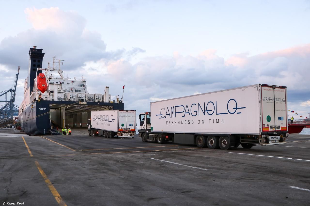 كل ما تريد معرفته عن خط الرورو بين مينائى دمياط وتريستا الإيطالي