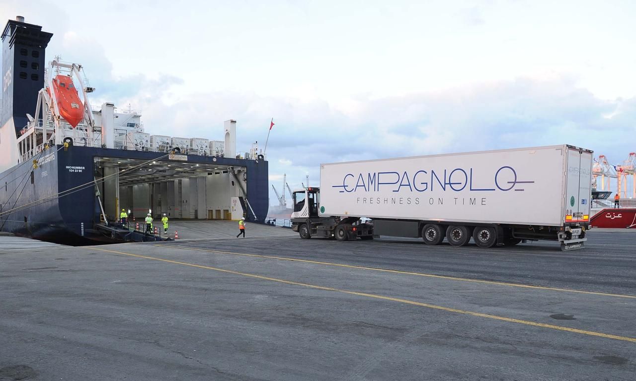 كل ما تريد معرفته عن خط الرورو بين مينائى دمياط وتريستا الإيطالي