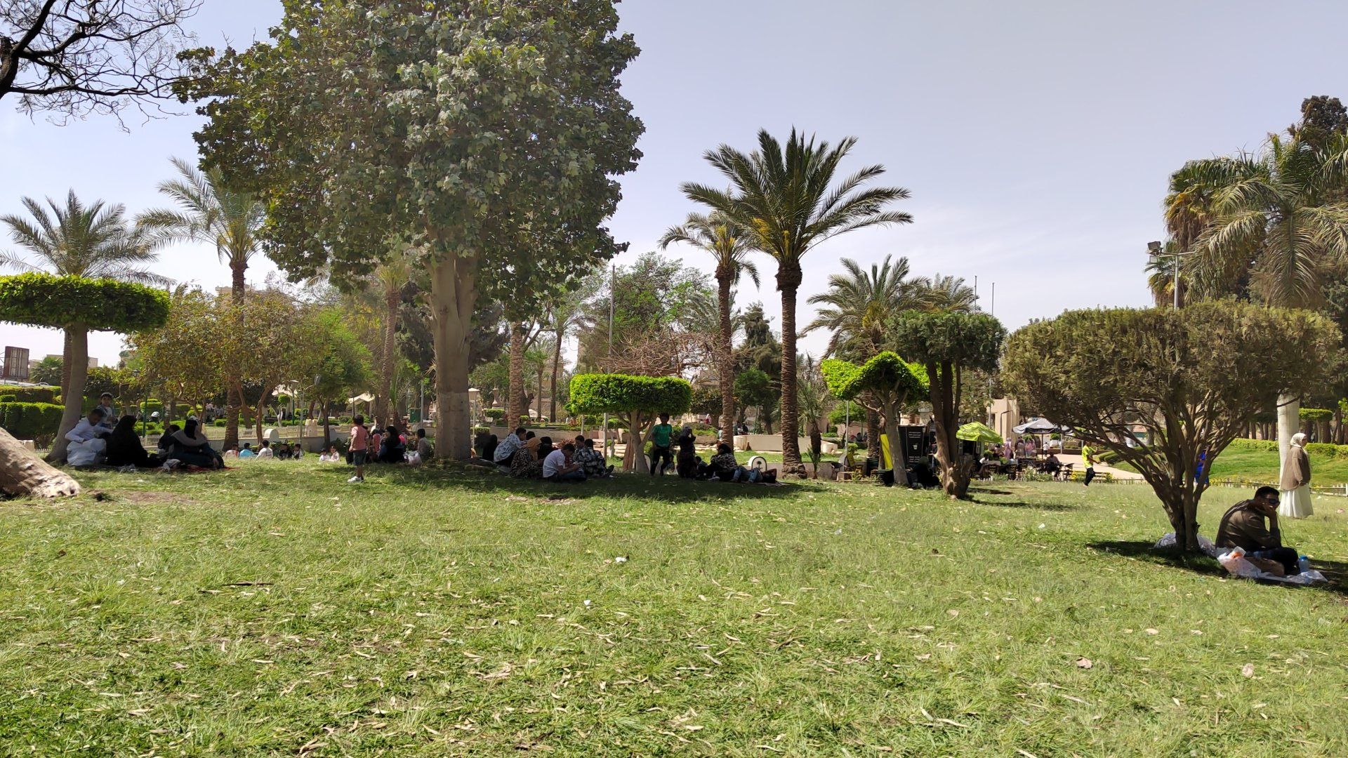 مئات الأسر يفترشون المسطحات الخضراء للاحتفال بالعيد.. صور