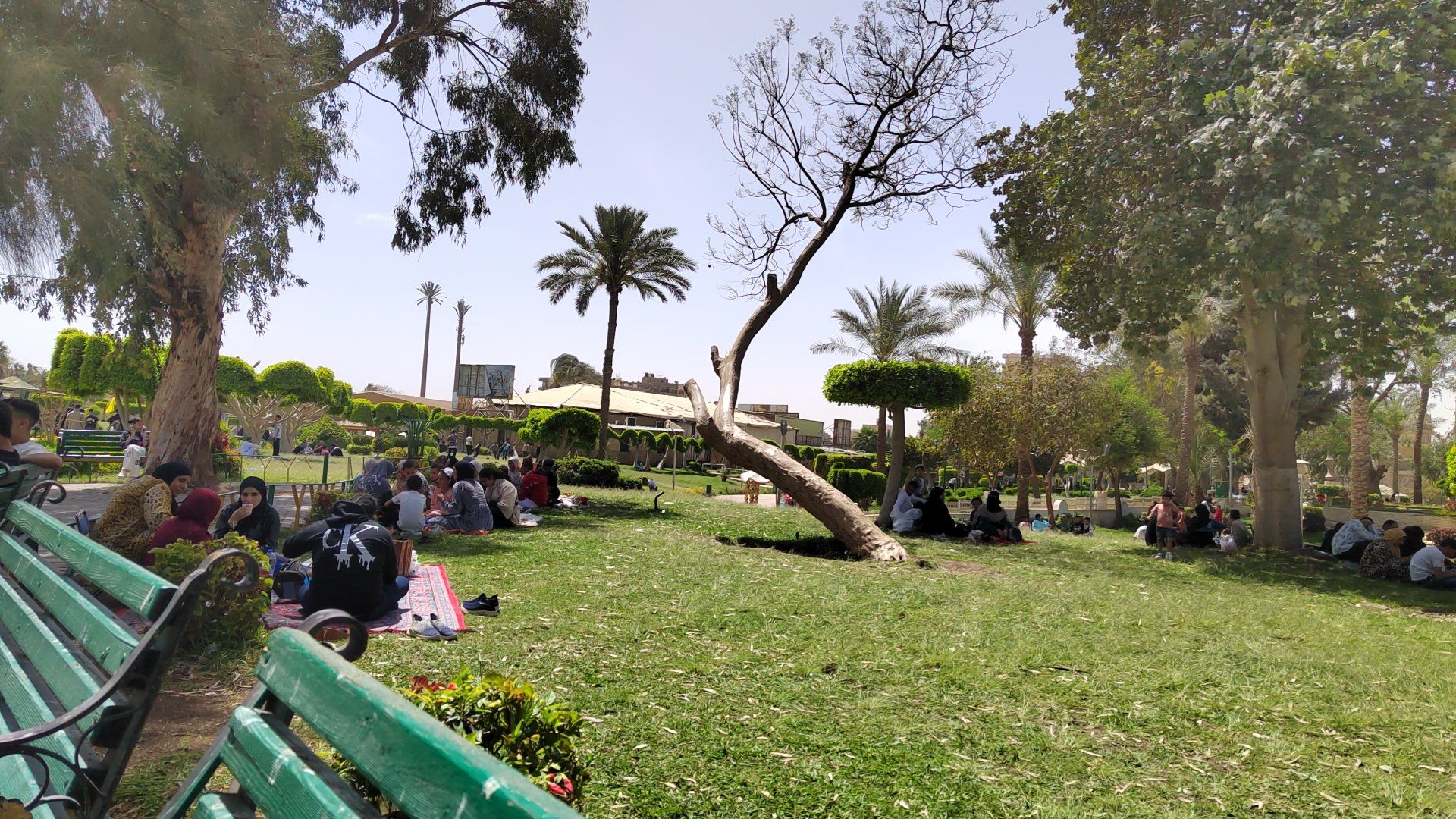 مئات الأسر يفترشون المسطحات الخضراء للاحتفال بالعيد.. صور